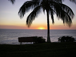 IMGP0139.JPG