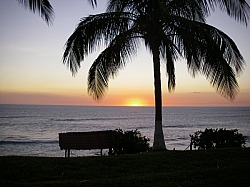 IMGP0141.JPG