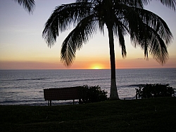 IMGP0142.JPG