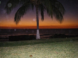 IMGP0145.JPG
