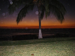 IMGP0146.JPG
