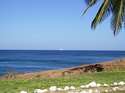 IMGP0151.JPG