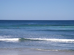 IMGP0155.JPG