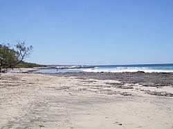 IMGP0156.JPG