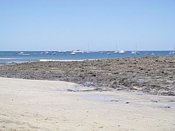 IMGP0160.JPG