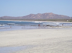 IMGP0161.JPG