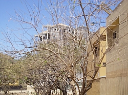IMGP0169.JPG