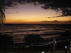 IMGP0174.JPG