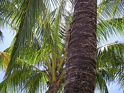 IMGP0175.JPG