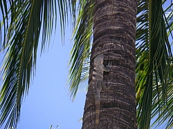 IMGP0176.JPG