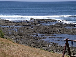 IMGP0179.JPG