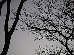 IMGP0184.JPG