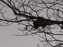 IMGP0188.JPG