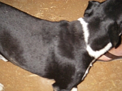 IMGP0190.JPG