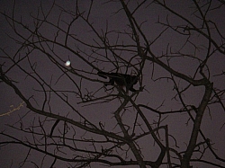 IMGP0196.JPG