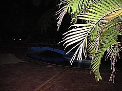IMGP0200.JPG