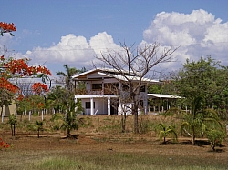 IMGP0207.JPG