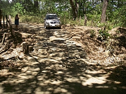IMGP0209.JPG