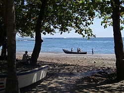 IMGP0214.JPG