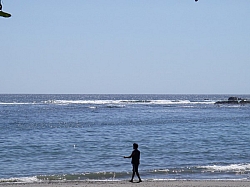 IMGP0216.JPG