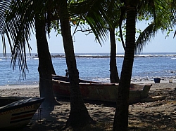 IMGP0219.JPG