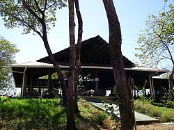 IMGP0220.JPG