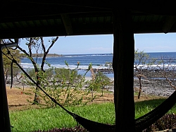 IMGP0224.JPG