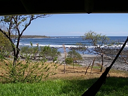 IMGP0225.JPG