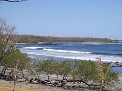 IMGP0226.JPG