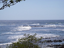 IMGP0227.JPG