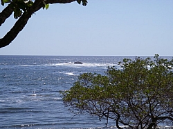 IMGP0228.JPG