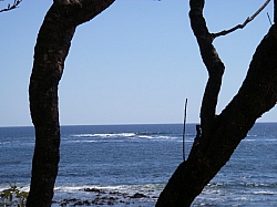 IMGP0229.JPG