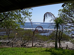 IMGP0231.JPG
