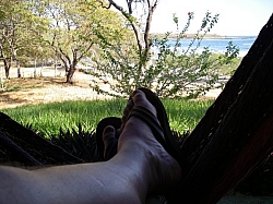 IMGP0236.JPG