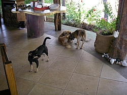 IMGP0239.JPG