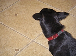 IMGP0240.JPG
