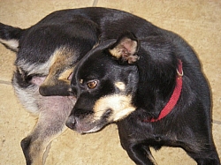 IMGP0241.JPG