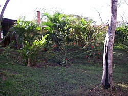 IMGP0244.JPG