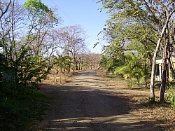 IMGP0245.JPG