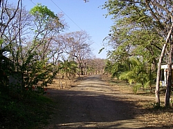 IMGP0246.JPG