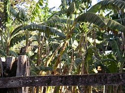 IMGP0250.JPG
