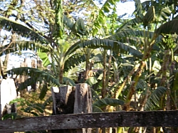 IMGP0251.JPG