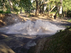 IMGP0255.JPG