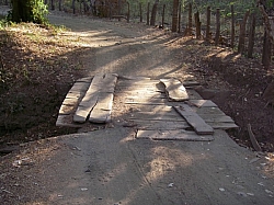 IMGP0258.JPG
