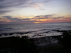 IMGP0278.JPG