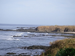 IMGP0288.JPG