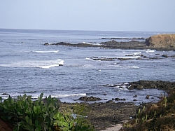 IMGP0289.JPG