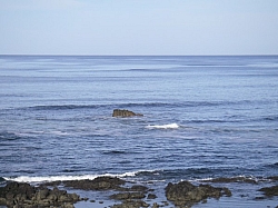 IMGP0290.JPG