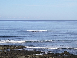 IMGP0291.JPG