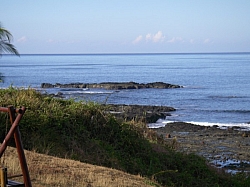 IMGP0292.JPG
